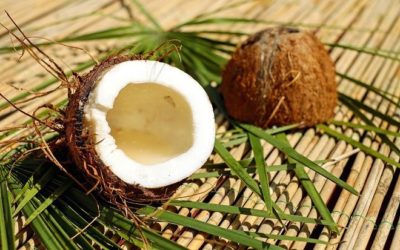 Waarom is kokosolie goed voor je?